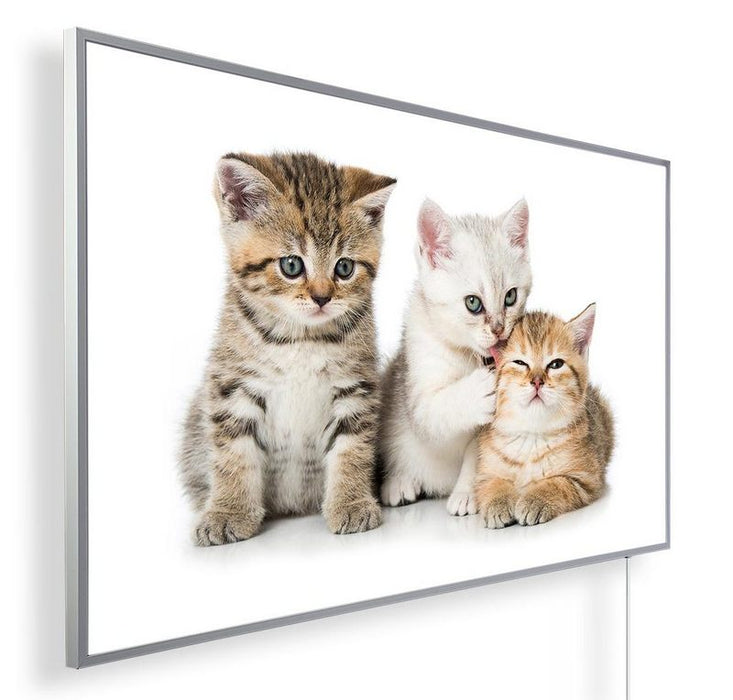 Könighaus Infrarotheizung Bild 81 Katzen